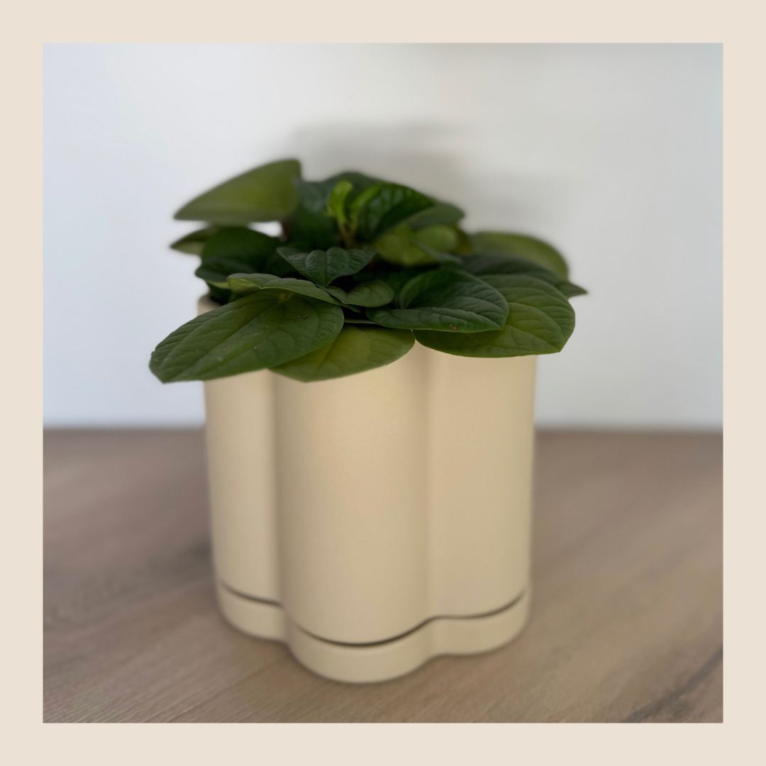 Bloempot bloemvorm Nina - Home Delight