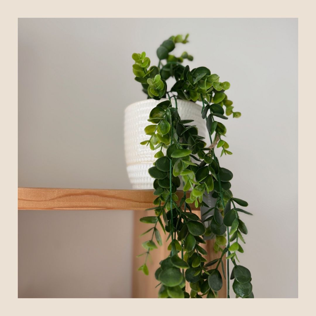 Kunst eucalyptus
