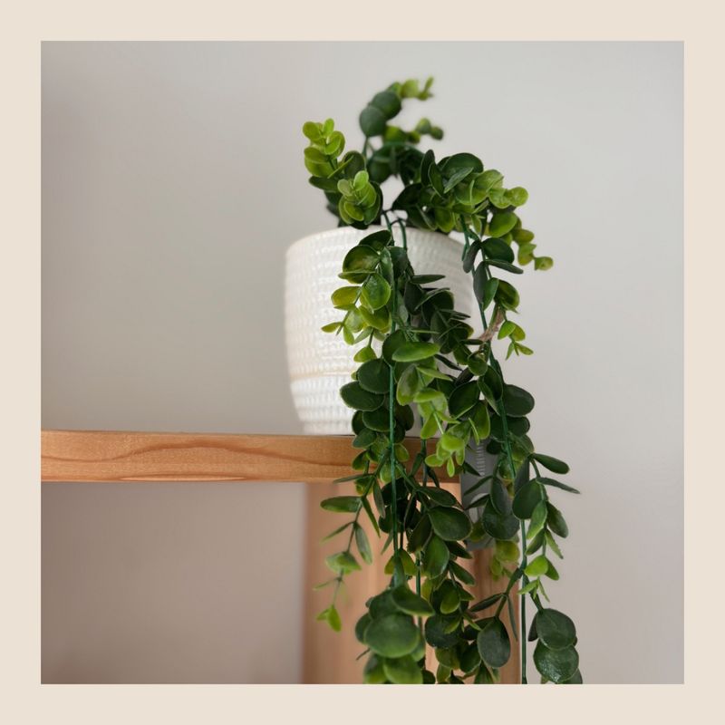 Kunst eucalyptus