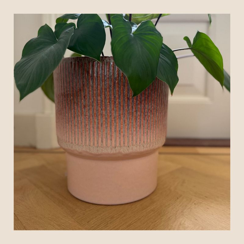 Bloempot Dodo Orange XL