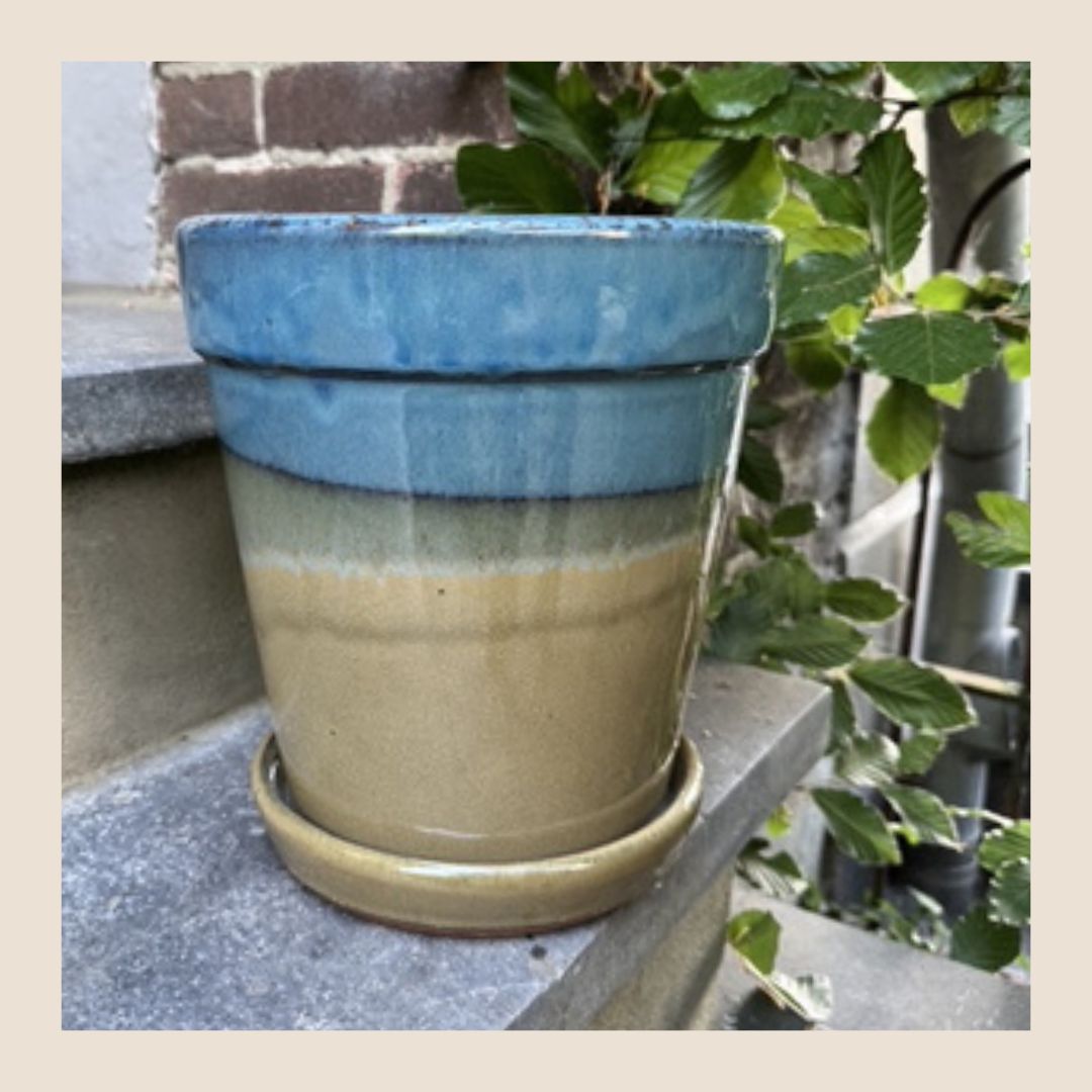 Pot Madrid - Yellowblue
