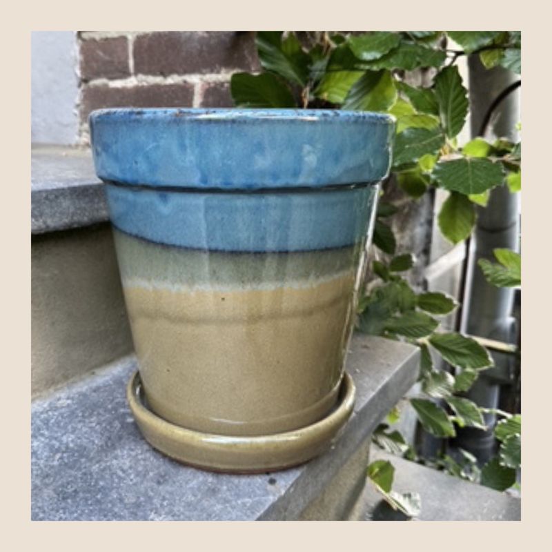 Pot Madrid - Yellowblue Pot Madrid - Yellowblue