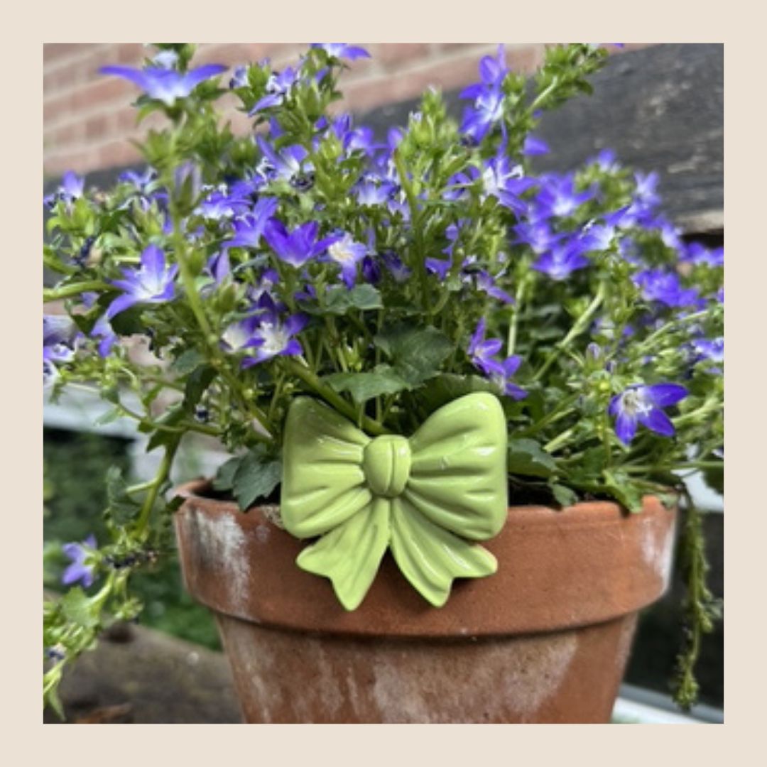 Pothanger Bow - Groen
