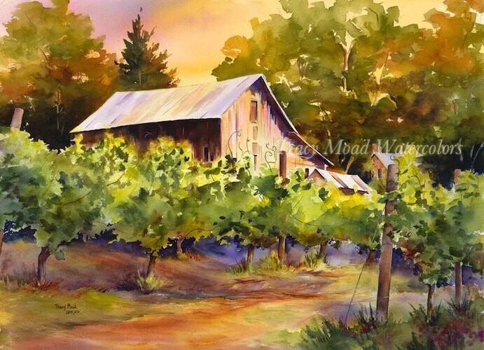 "Vineyard at the Turn-About