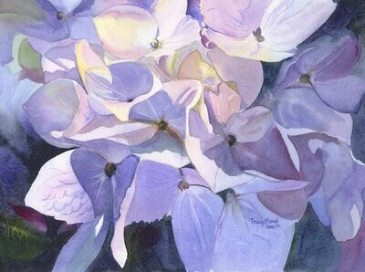 "Heavenly Hydrangea"