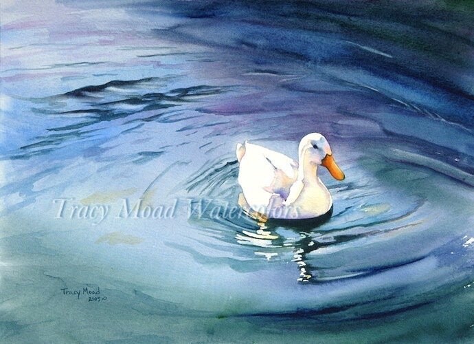 "Oswego Duck"