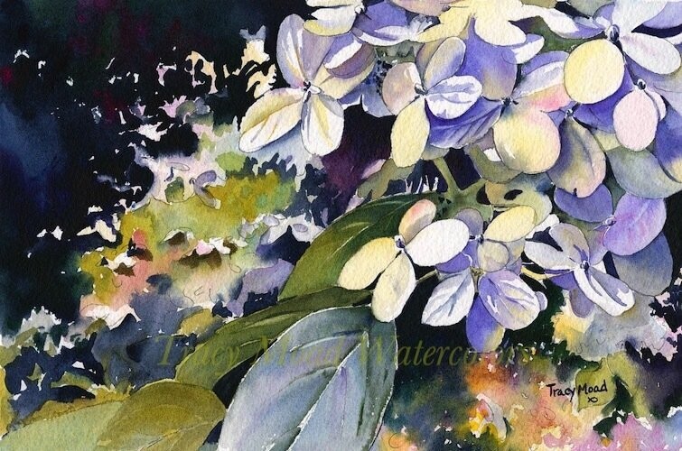 "Floral Fantasy