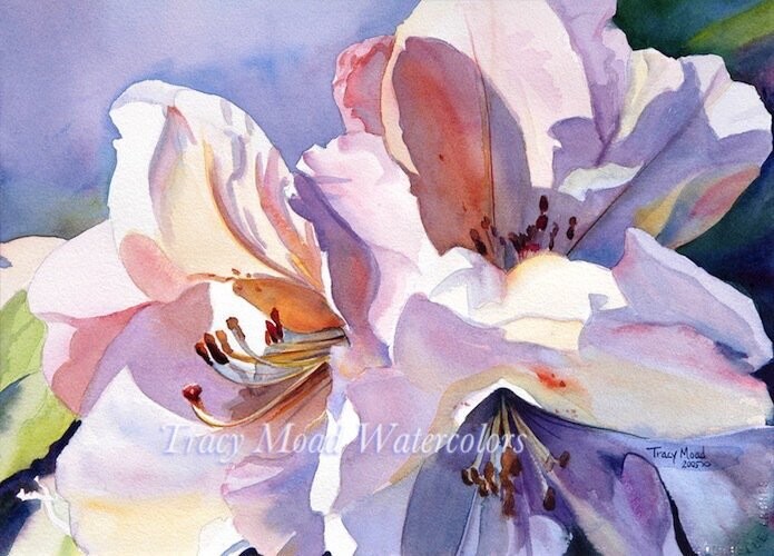"White Rhody"