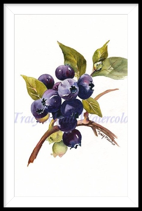 "Blushing Blueberries"