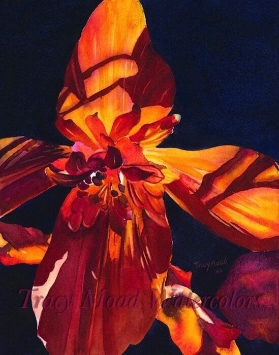 "Fall Fire"