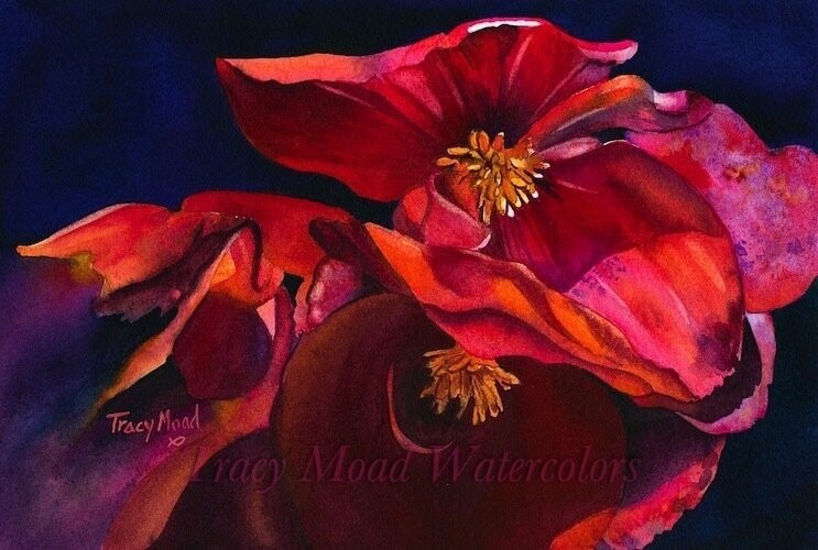 "Serenade"