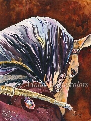 "Cindy's Horse"