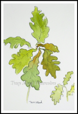 "Oak Leaves"