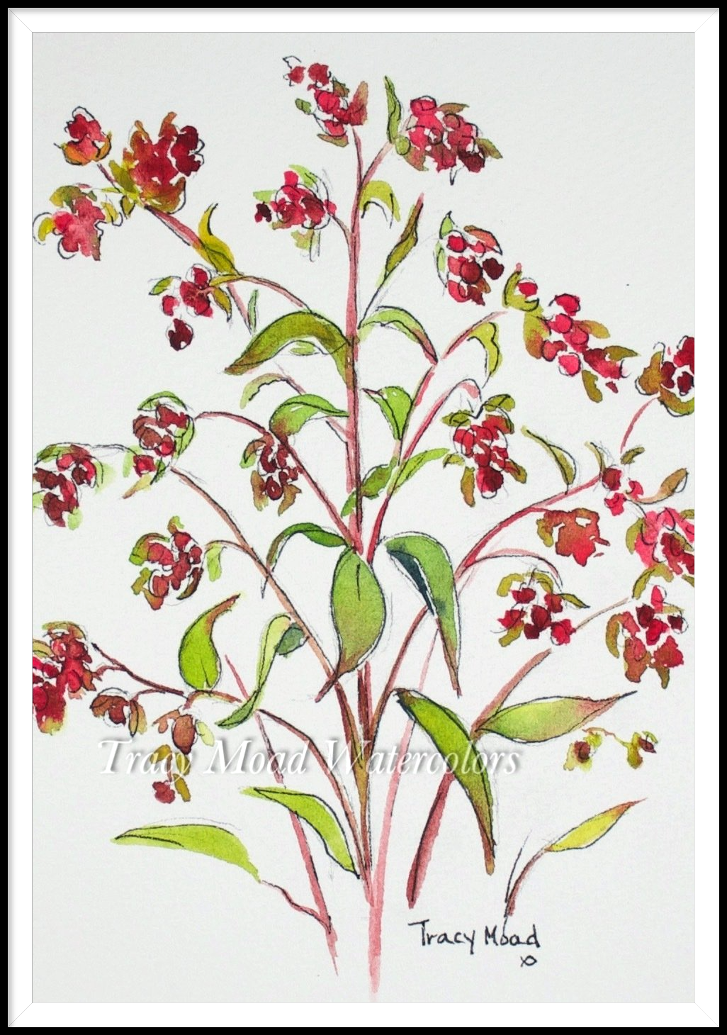 "Crepe Myrtle Blossom 2"