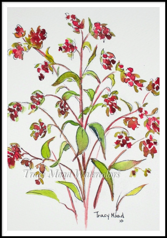 "Crepe Myrtle Blossom 2"
