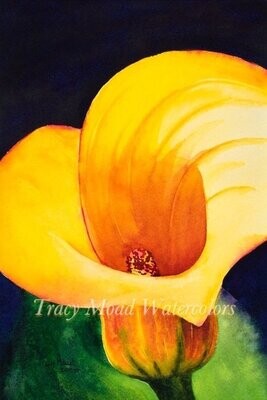 "Yellow Lily"