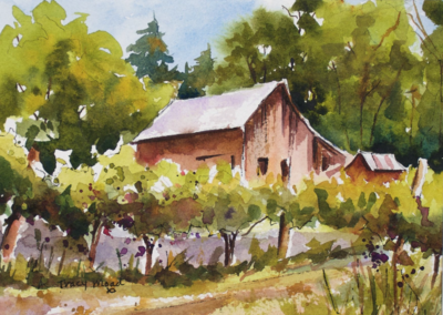 "Stafford Road Vineyard"