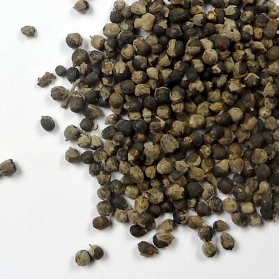 Chaste Tree Berry / Vitex
