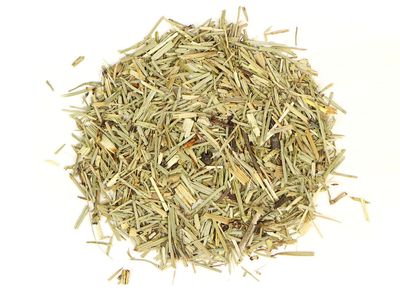 Shavegrass (Horsetail)