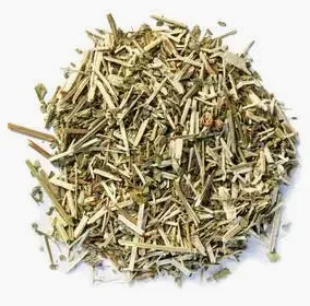 Vervain