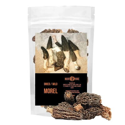 Wild Dried Morels