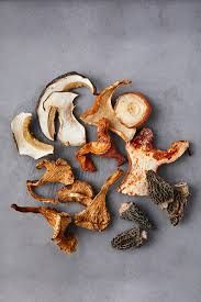 MUSHROOMS