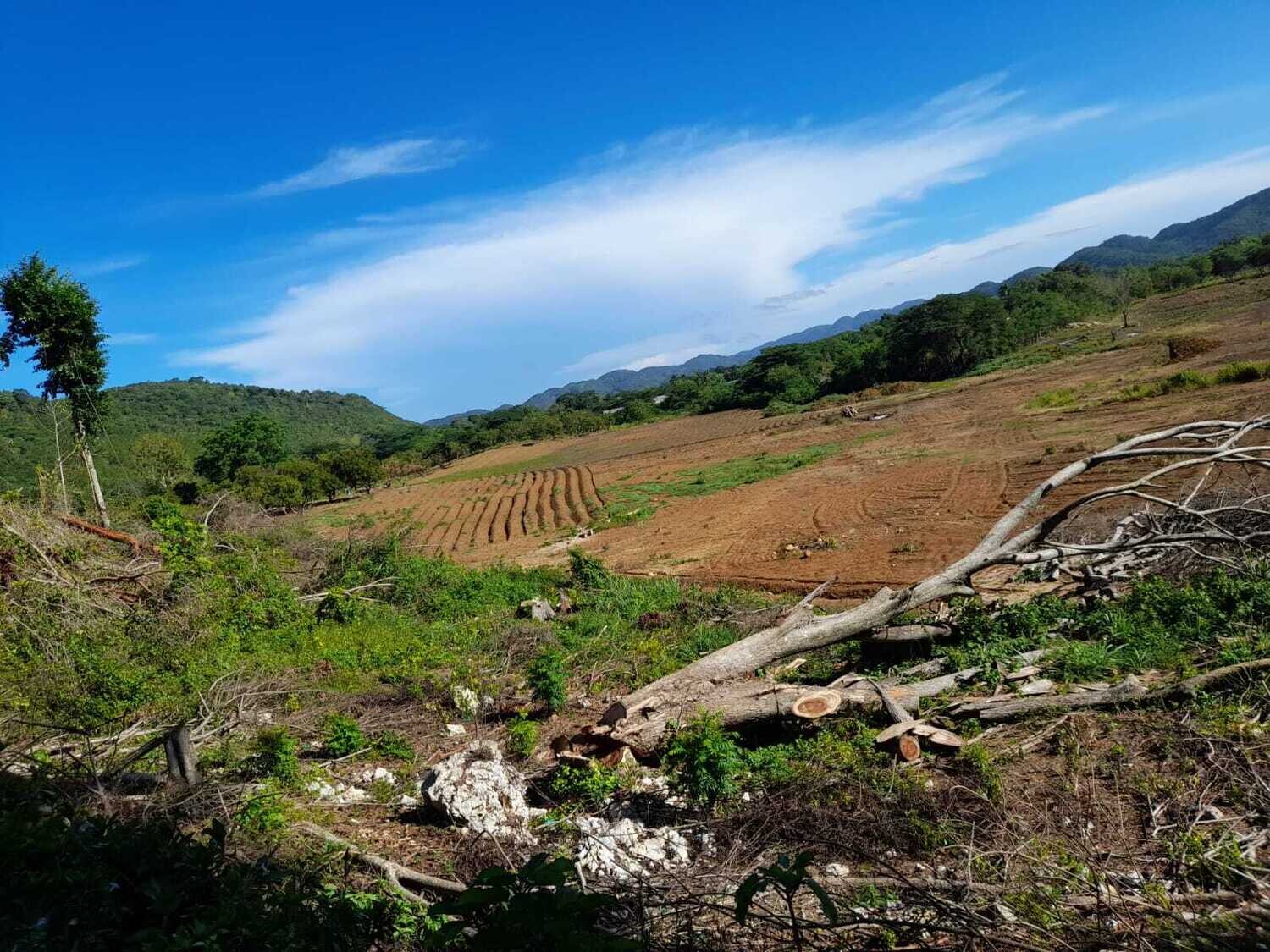 Consultation (Assessment of Land for Labour)