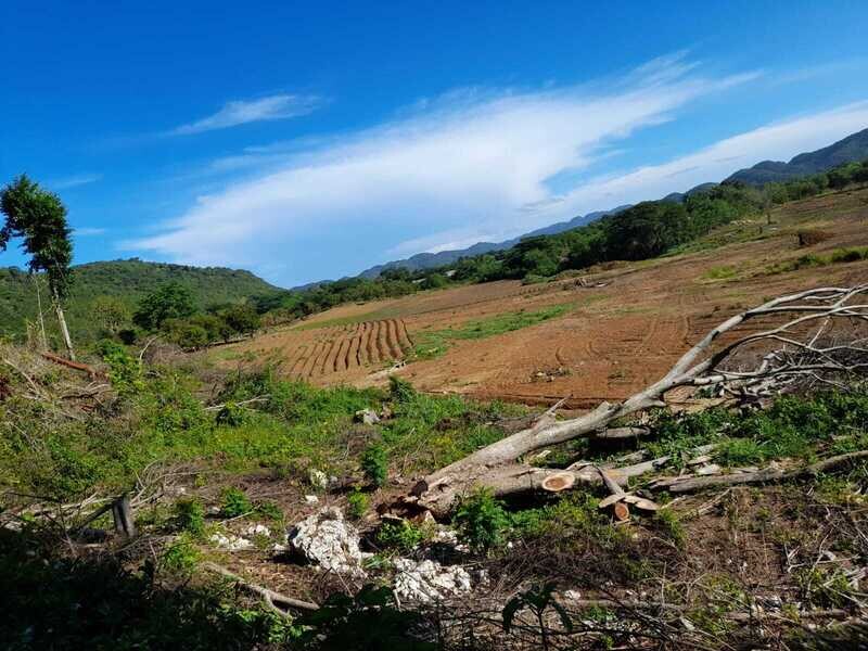 Consultation (Assessment of Land for Labour)