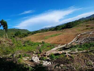 Consultation (Assessment of Land for Labour)