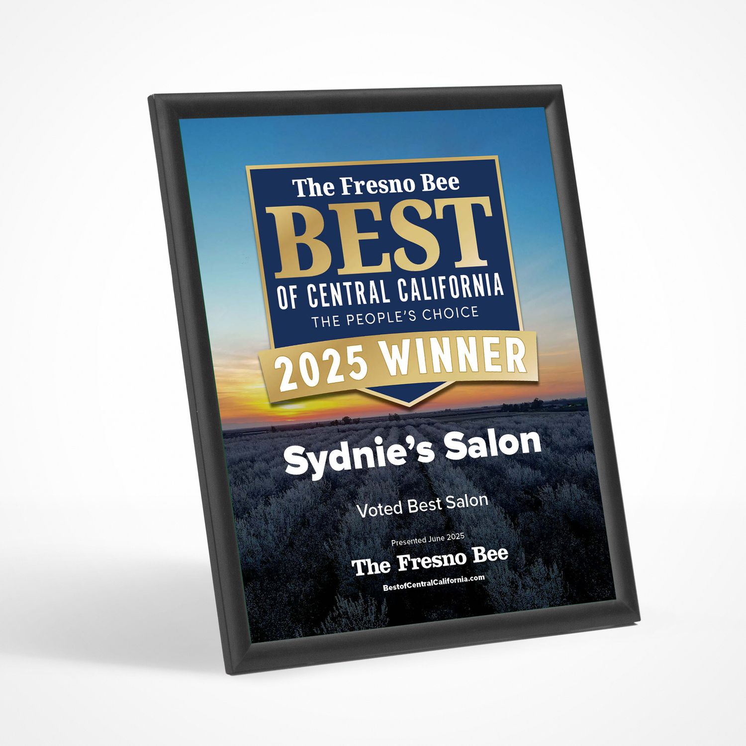 Winner&#39;s Modern Plaque