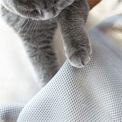 Para Gatitos