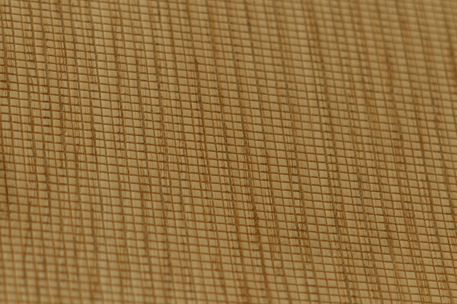 NUO Esche Natur T4