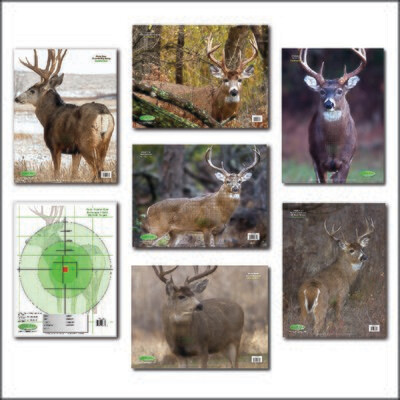 deer hunter 14 deer hunter 14