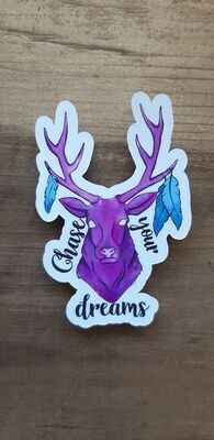 Chase Your Dreams sticker