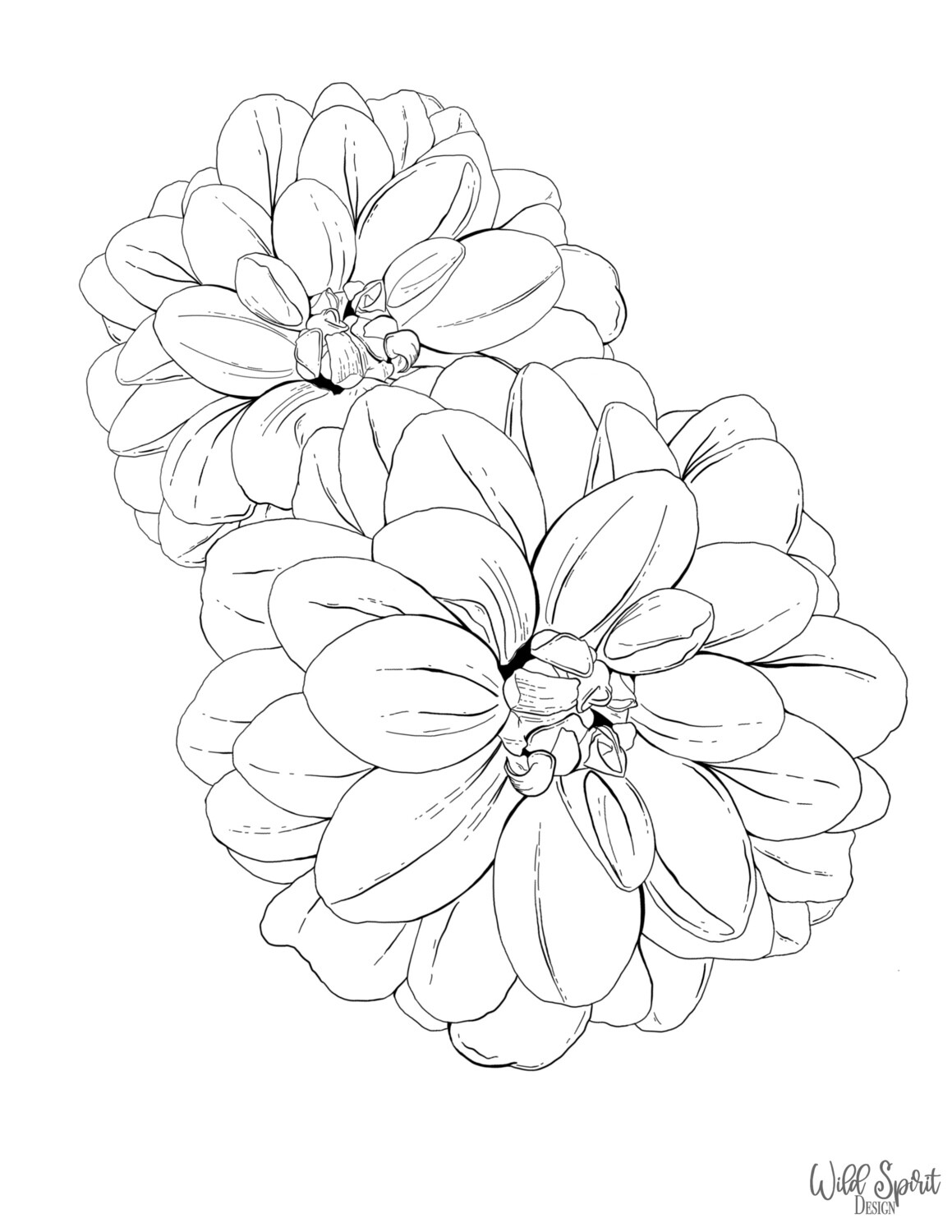 Dahlia Coloring Page, Digital Download, Floral