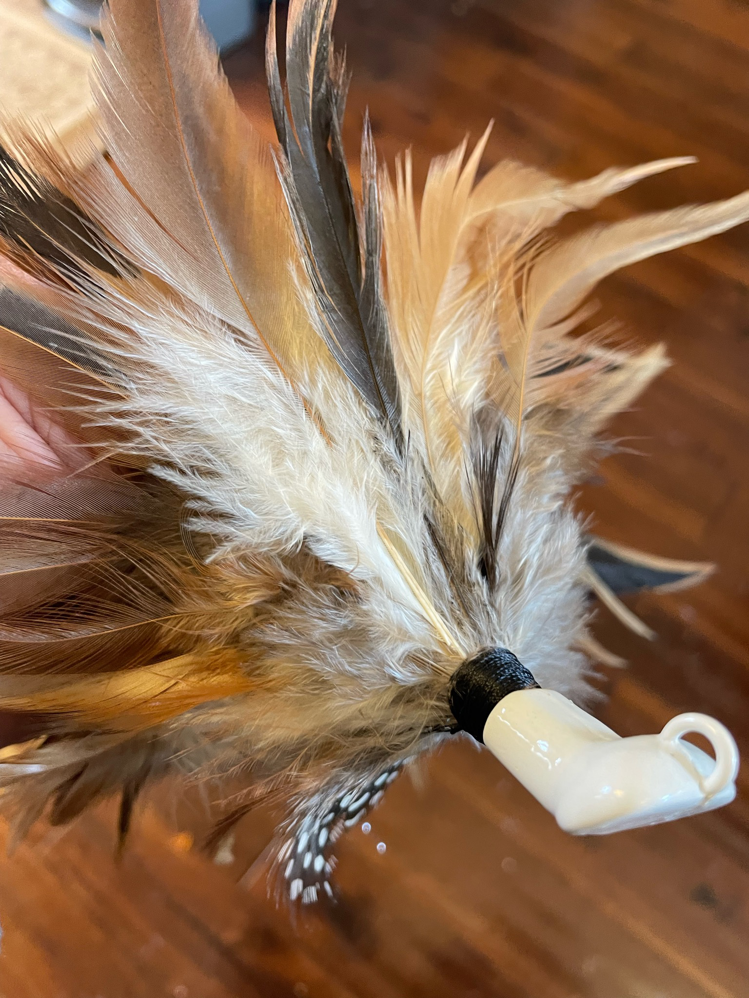 Chinchilla slant head