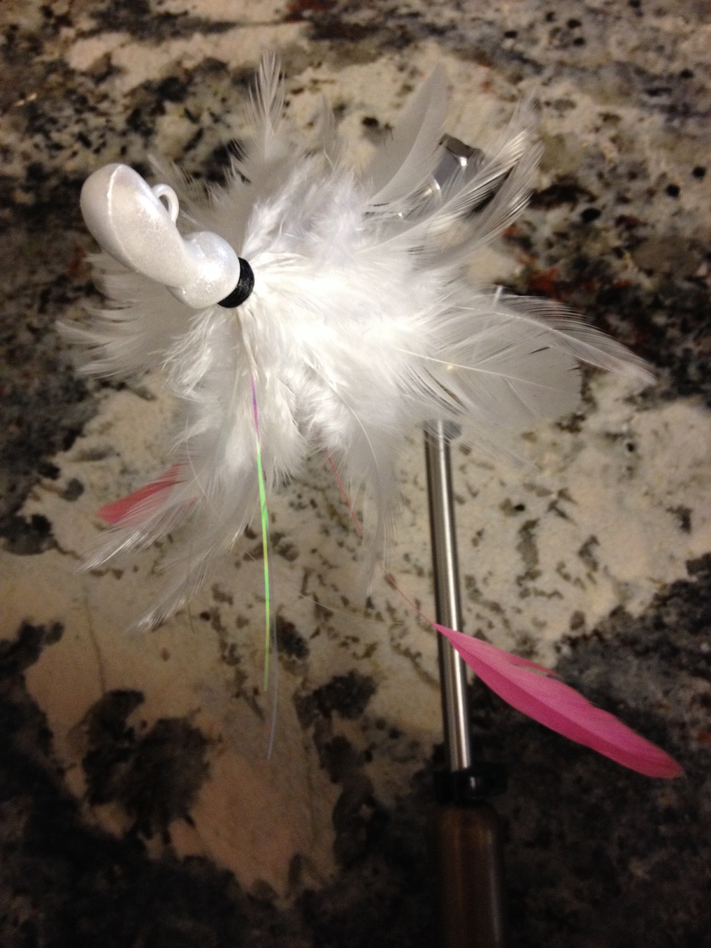 paddletail 000003616