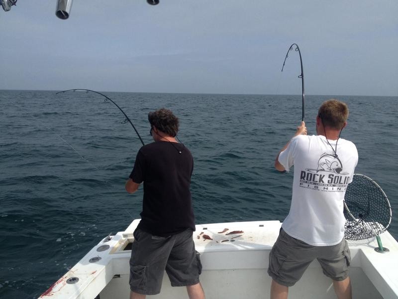 Meat Hog Punisher Rod