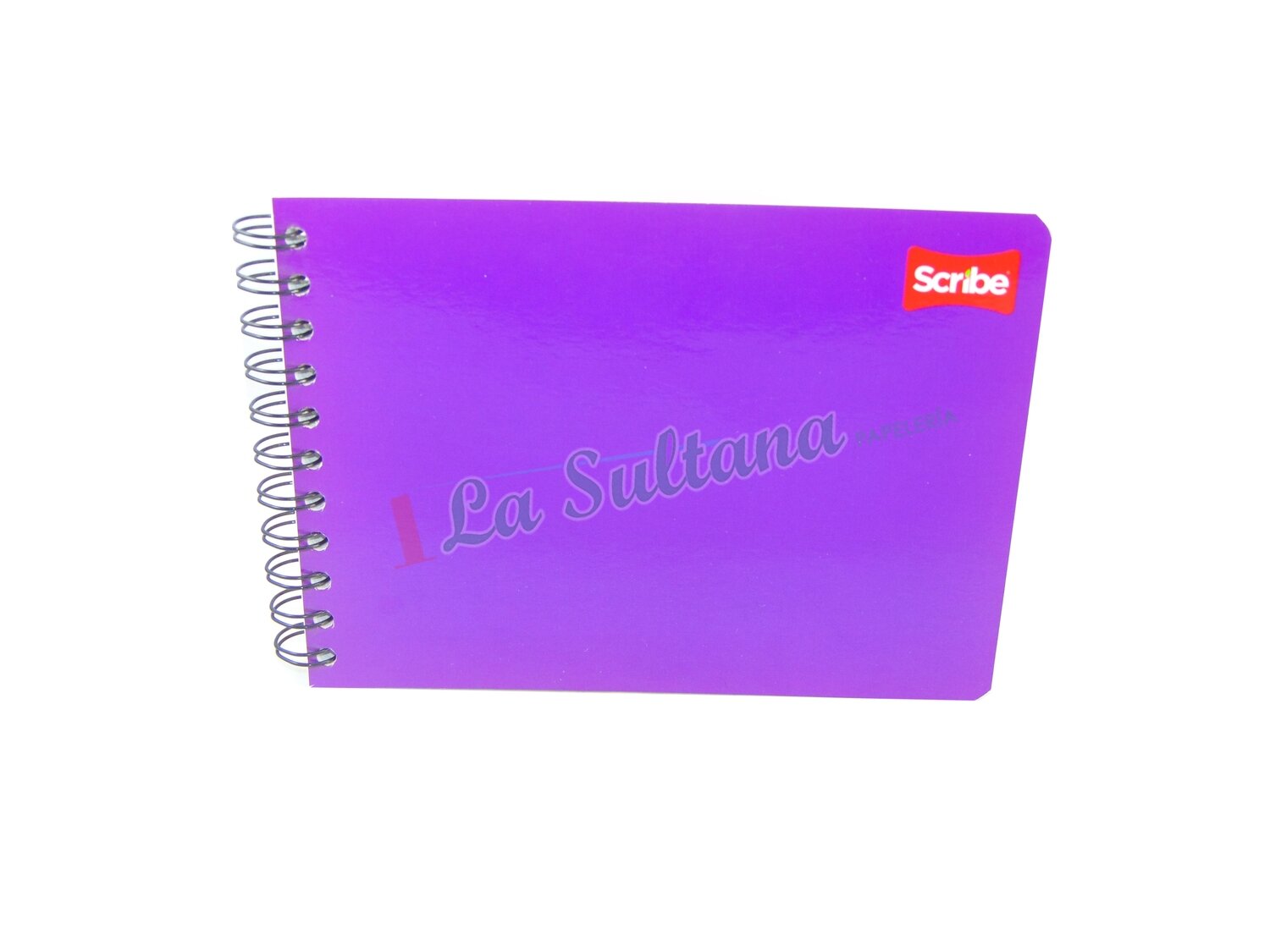 LIBRETA SCRIBE ITALIANA ESPIRAL CLASICO C/100H PZ