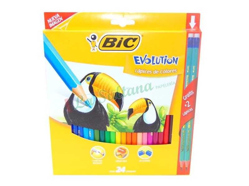COLORES BIC EVOLUTION 4MM C/24