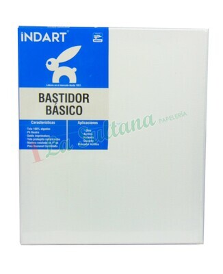 BASTIDOR BASICO INDART 20X30 PZ