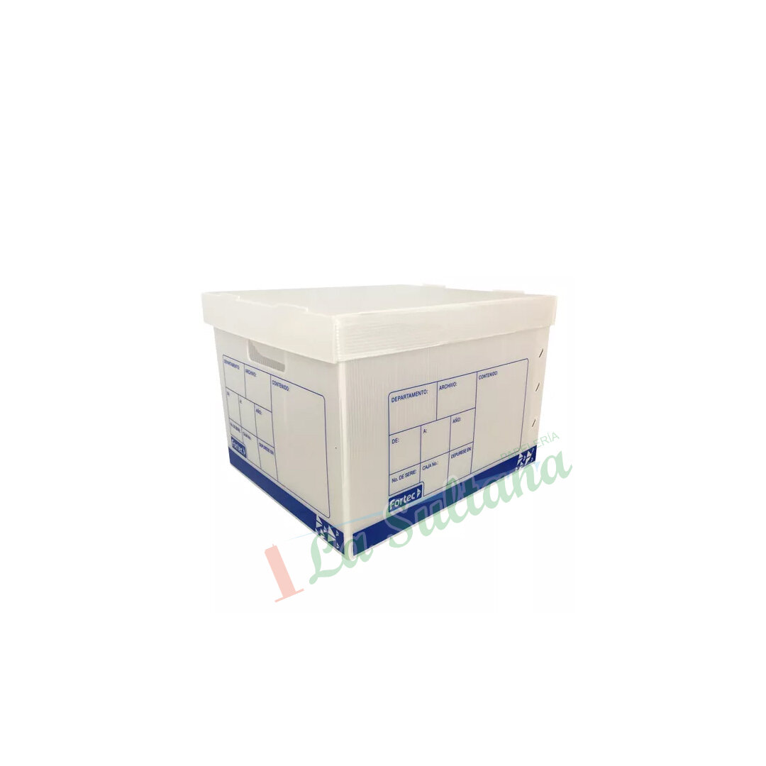 CAJA P/ARCHIVO PLASTICA CARTA 35X24.9CM PZ