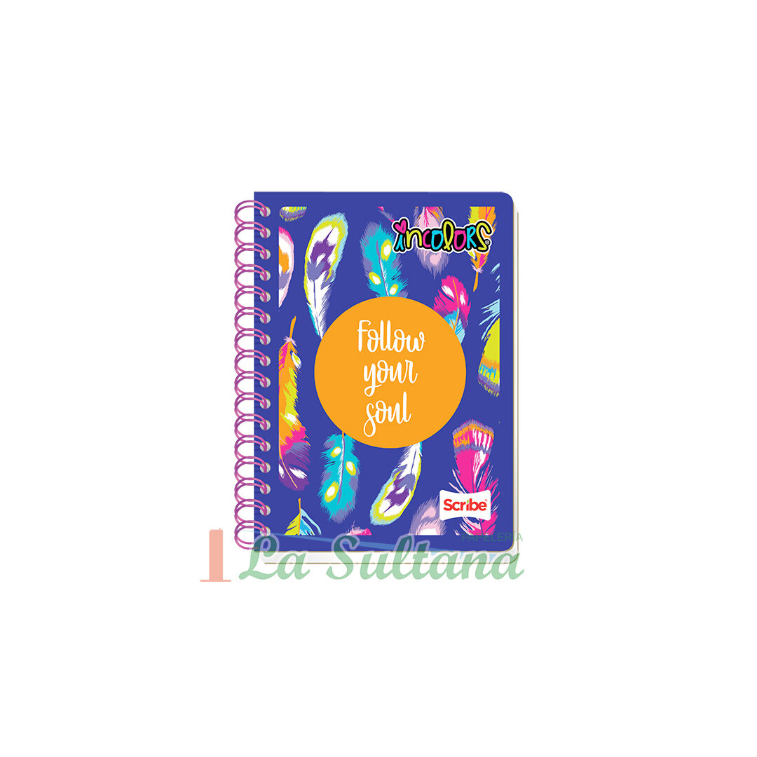 LIBRETA SCRIBE FRANCESA ESPIRAL INCOLORS C/100H PZ