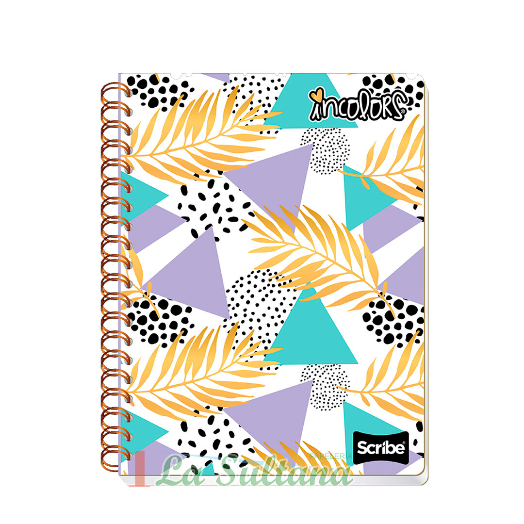 LIBRETA SCRIBE PROFESIONAL ESPIRAL IN COLORS C/100H PZ