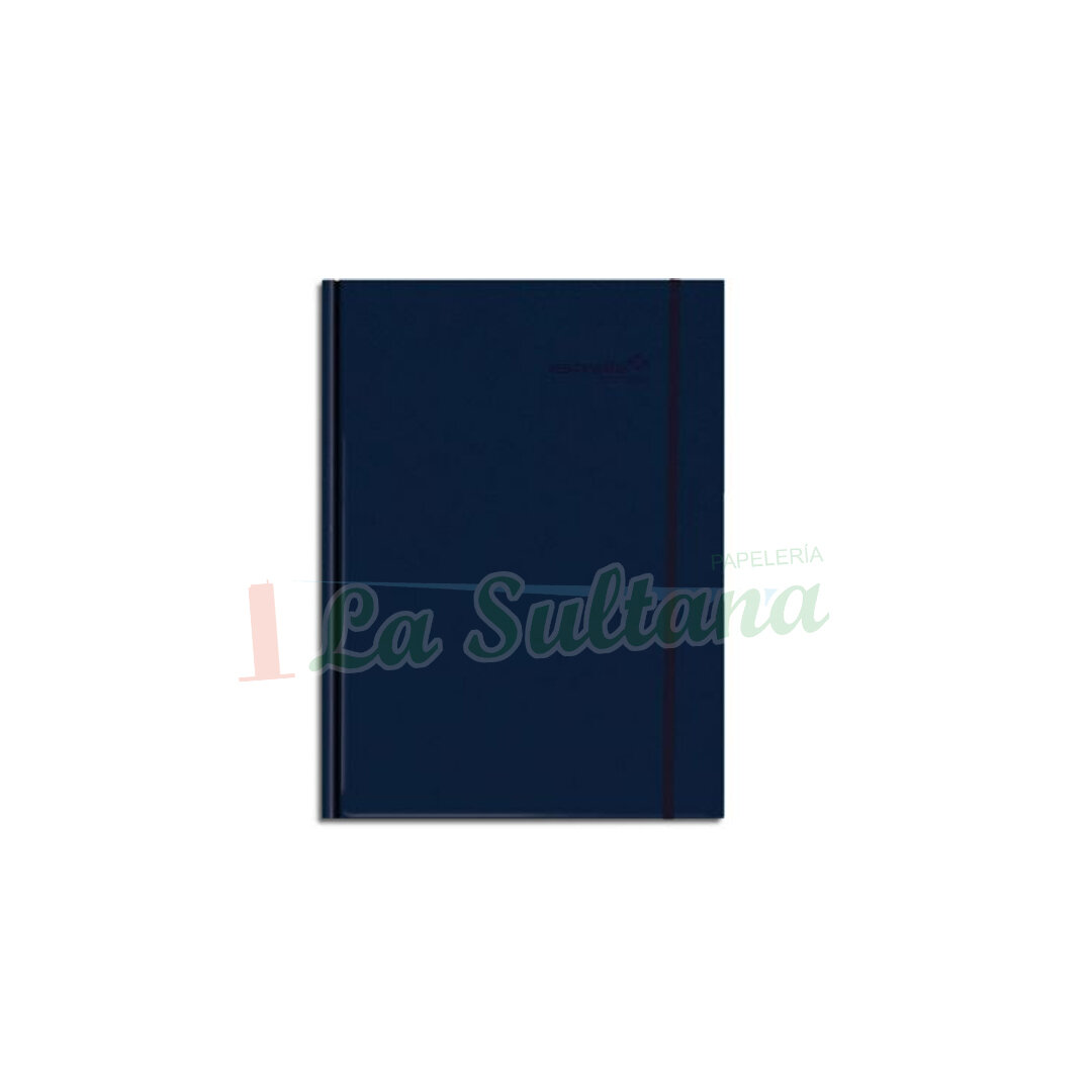 LIBRO PROFESIONAL MANAGER C/ELASTICO 96H PZ