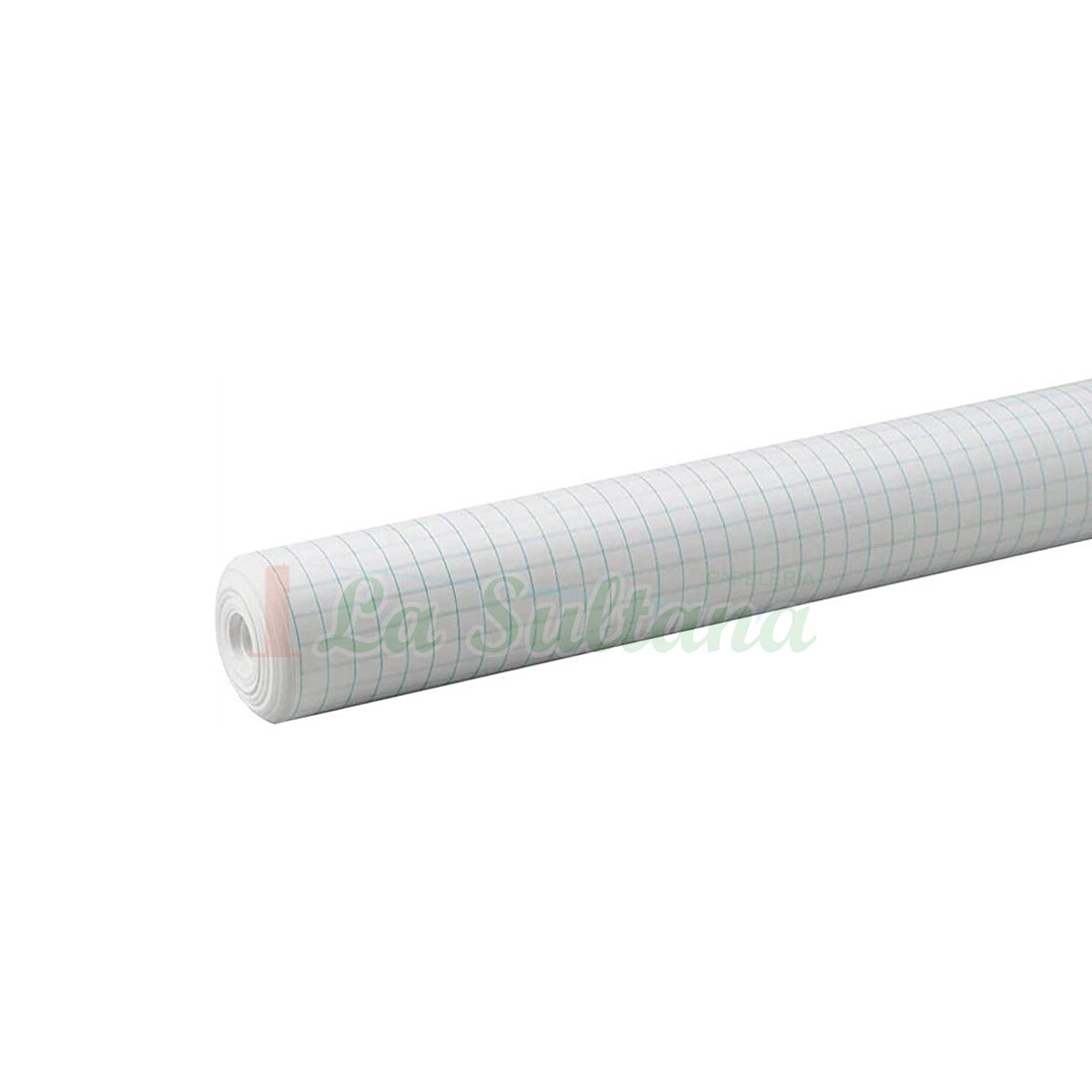 PAPEL CUADRICULADO Y BLANCO C/20