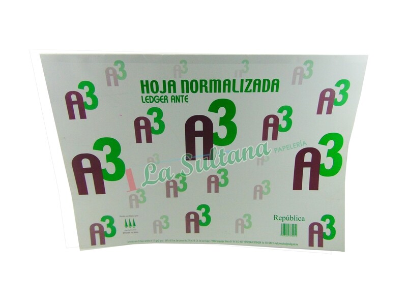 BLOCK HOJA NORMALIZADA A3 BRISTOL C/25H PZ