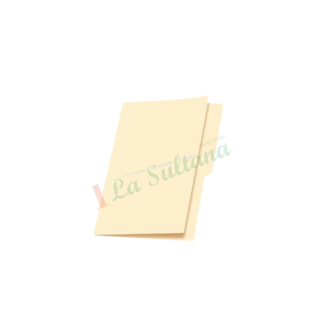 FOLDER CARTA PZ