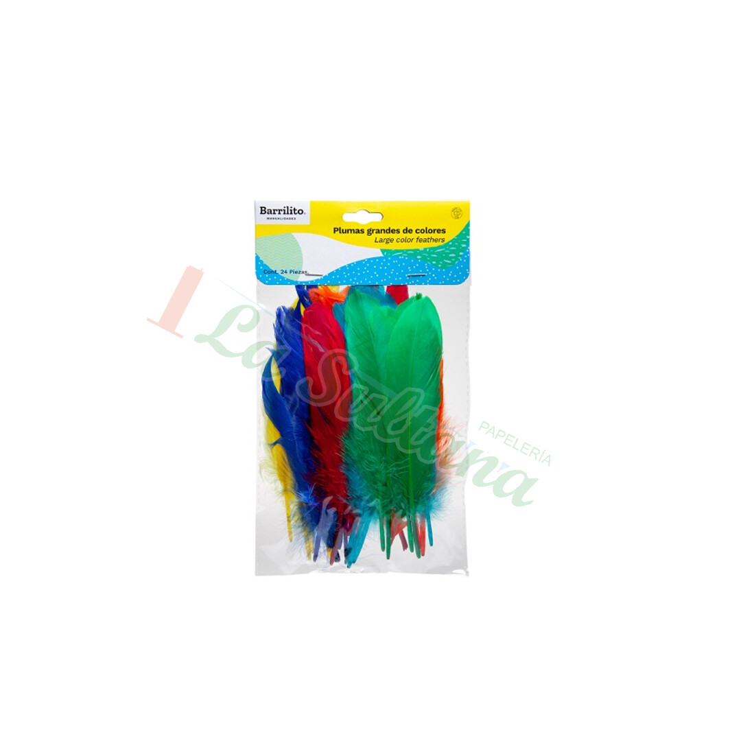 PLUMA  DE AVE DE COLORES PZ
