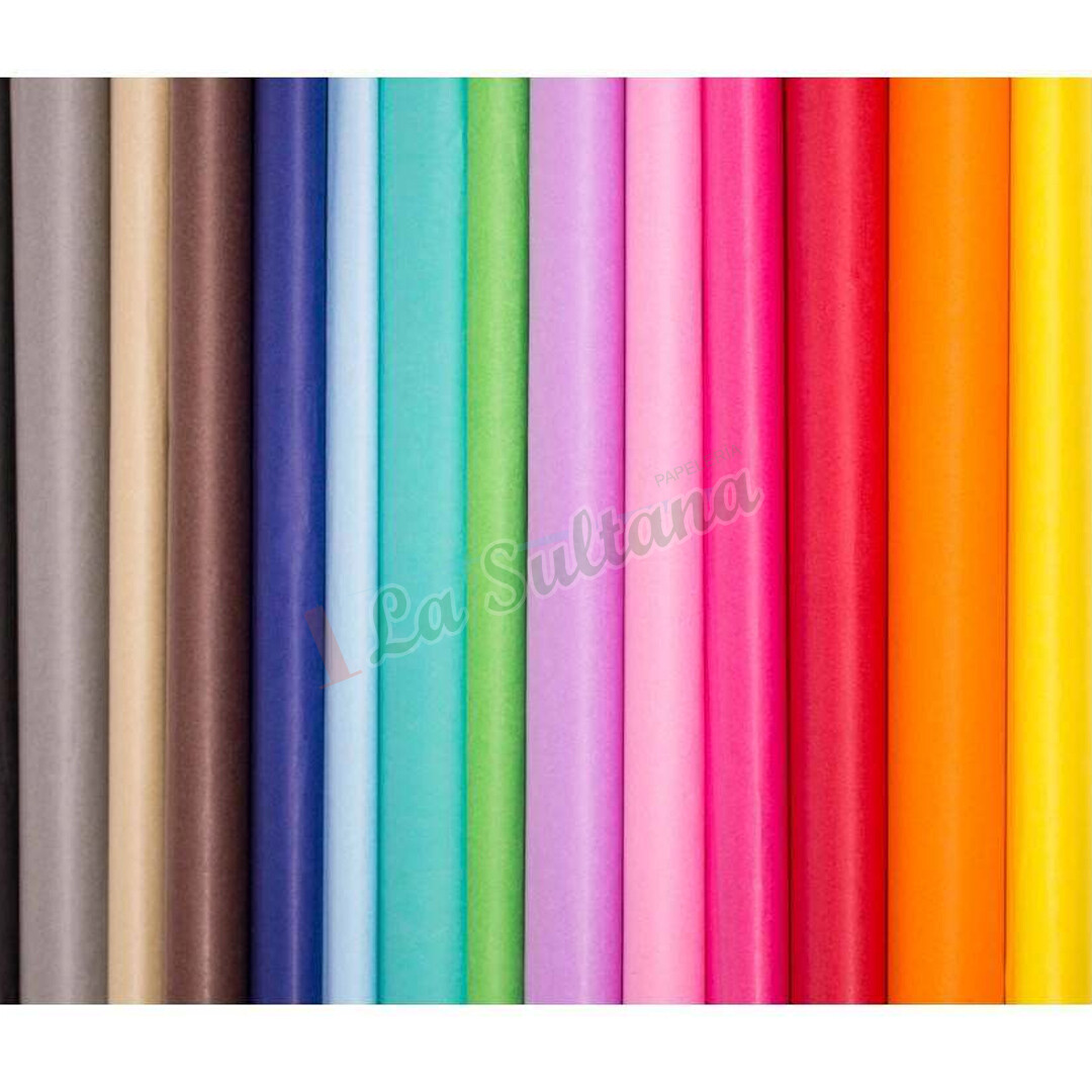 PAPEL LUSTRINA EUROCOLOR C/10 SURTIDO